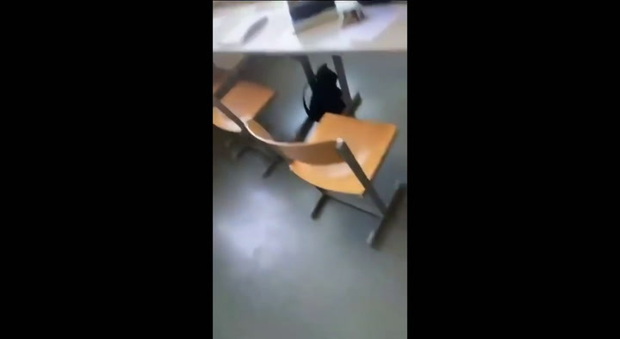 https://statics.cedscdn.it/photos/MED/2025/06/11/8891668_poster.jpg