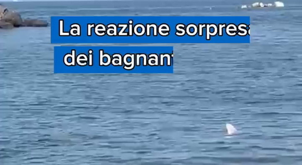 https://statics.cedscdn.it/photos/MED/2025/06/12/8893938_poster.jpg