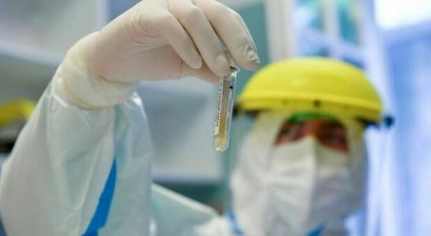 https://statics.cedscdn.it/photos/MED/2025/06/14/8898176_14154222_covid_variante_nimbus_casi_mascherine_vaccini_ecdc_esperti_cosa_dicono_oggi_14_6_2025.jpg
