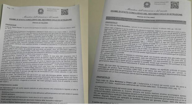 https://statics.cedscdn.it/photos/MED/2025/06/18/8905372_18085958_befunky_collage_2025_06_18t085951.414.jpg