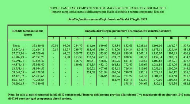 https://statics.cedscdn.it/photos/MED/2025/06/21/8911833_21174009_assegnonucleofamiliare.jpg