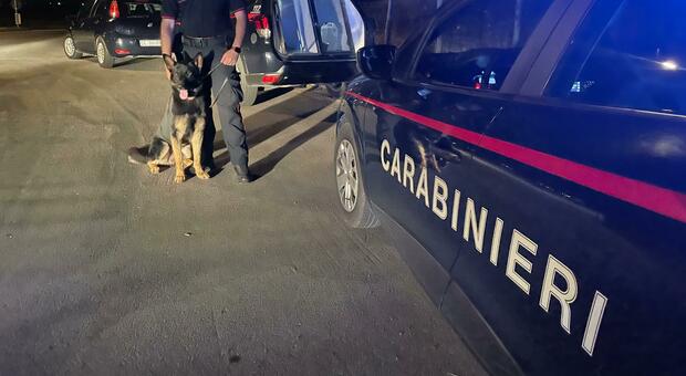 https://statics.cedscdn.it/photos/MED/2025/06/26/8921121_26083631_carabinieri.jpg