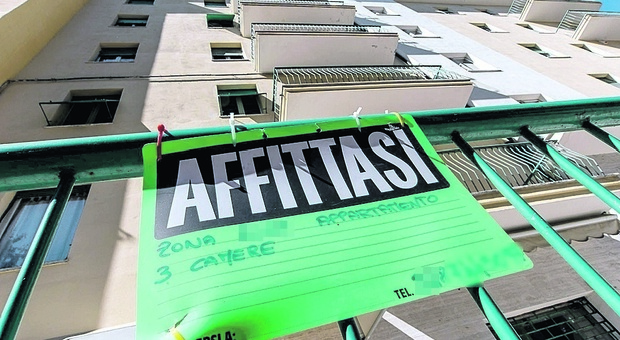 «Affitti non pagati e alloggi devastati», Bortolot: proprietari non tutelati dalla legge. Inquilino Ater ha messo una pecora scuoiata a essiccare sul terrazzo