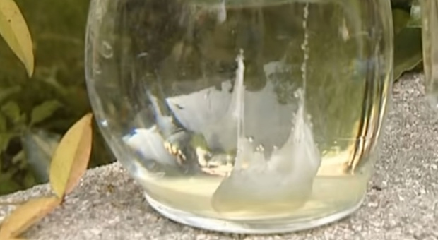 Barchetta Di San Pietro E Paolo