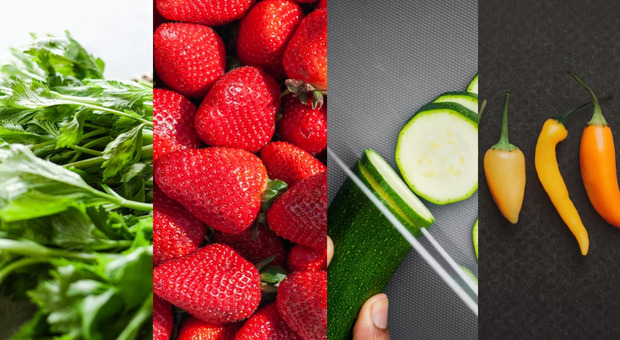 Estate 2025, cosa mangiare per idratarsi? Ecco la lista (che non ti aspetti) dei 10 alimenti con più acqua