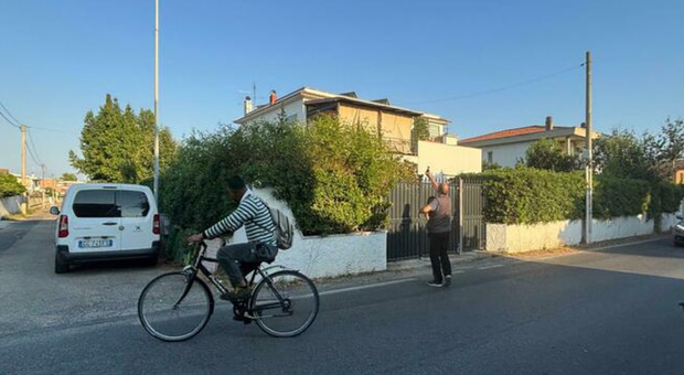 Fratellini aggrediti dal rottweiler della nonna a Lavinio: i piccoli di 8 e 10 anni in ospedale in codice rosso