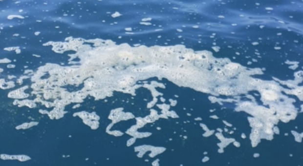 https://statics.cedscdn.it/photos/MED/2025/07/03/8935392_03130113_il_mediterraneo_e_sempre_piu_caldo_temperature_record_nel_2024_ecco_cosa_dice_il_nuovo_rapporto_m.jpg