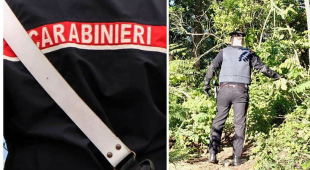 Franka Ludwig trovata morta nel bosco, ascoltate le amiche e il compagno: le tre piste su cui si indaga per omicidio