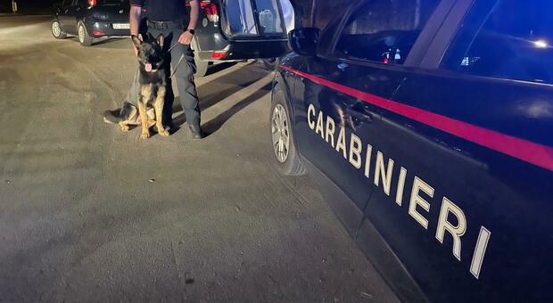 https://statics.cedscdn.it/photos/MED/2025/07/07/8942326_07080656_carabinieri.jpg