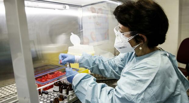 Frosinone, mancano i reagenti: esami sulle proteine bloccati da un mese. Neanche quelli pronti possono essere ritirati