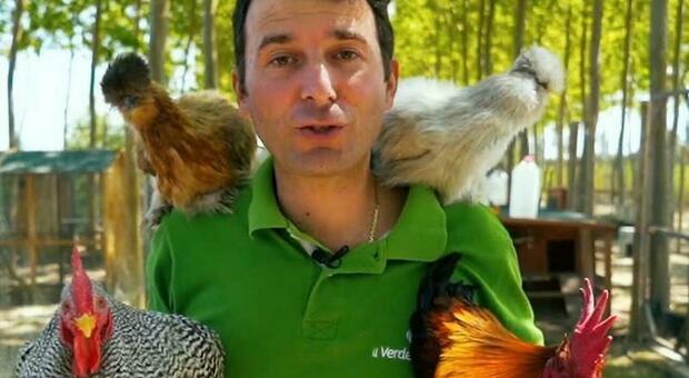 Nicola, l'ex impiegato lascia il lavoro e trasforma la passione per le galline in un'impresa sostenibile da 50mila clienti