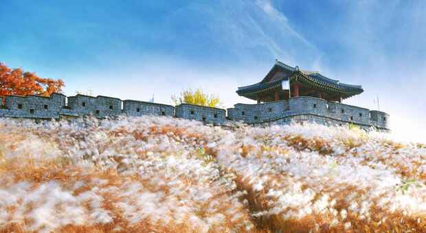  Corea del Sud, sulle tracce dei K-drama: alla scoperta di paesaggi e idoli della cultura pop 