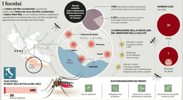 West Nile, l’allerta del ministero: «Mobilitati i medici di famiglia»