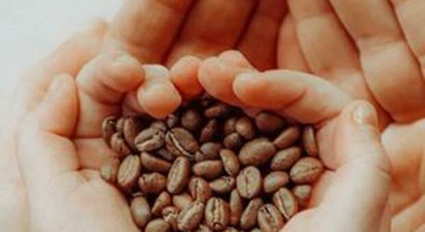 Napoli, al carcere di Secondigliano "Chicco di speranza": insegnare ai detenuti l'arte del caffè