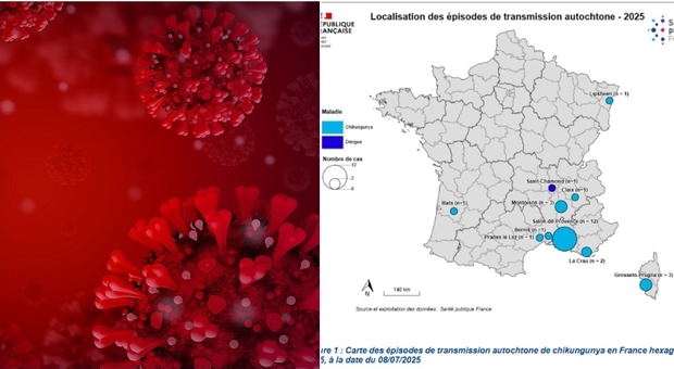https://statics.cedscdn.it/photos/MED/2025/07/26/8979225_26092935_viurs_chi.jpg