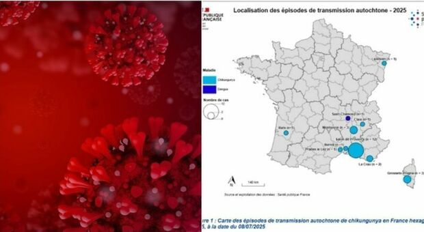 Virus Chikungunya, i sintomi: allarme in Italia dopo il boom in Francia della 'febbre spaccaossi'