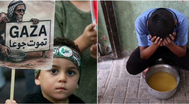 https://statics.cedscdn.it/photos/MED/2025/07/26/8979470_26151859_gaza.jpg