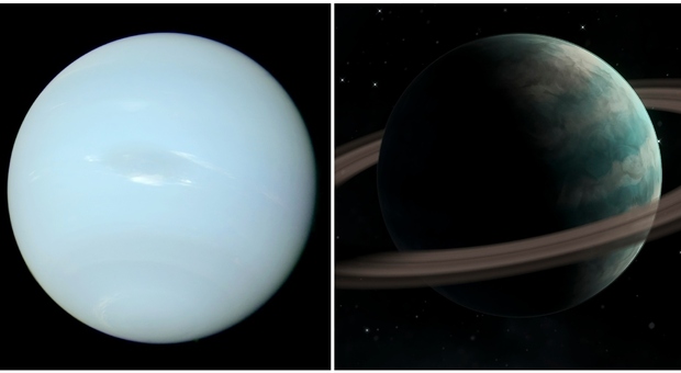 Oroscopo, con Nettuno e Saturno congiunti (dopo 39 anni) i sogni diventano realtà: Ariete consapevole, riparte il Leone