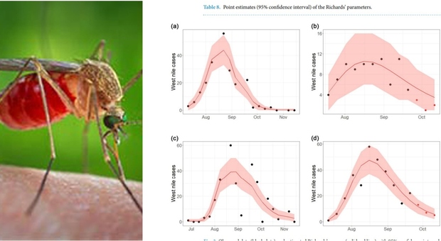 https://statics.cedscdn.it/photos/MED/2025/07/28/8982738_28152146_west_nile.jpg