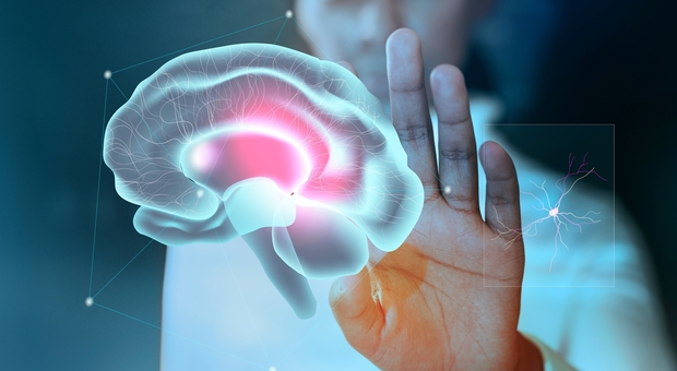 https://statics.cedscdn.it/photos/MED/2025/07/29/8984369_29082717_alzheimer4.jpg