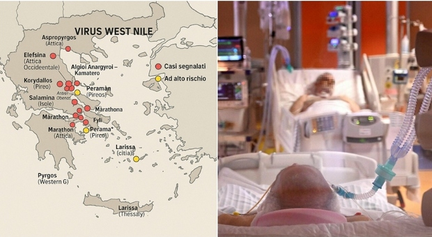https://statics.cedscdn.it/photos/MED/2025/07/29/8984578_29121835_west_nile_grecia.jpg