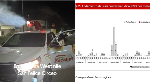 https://statics.cedscdn.it/photos/MED/2025/07/30/8986533_30122611_west_nile_picco_quando.jpg