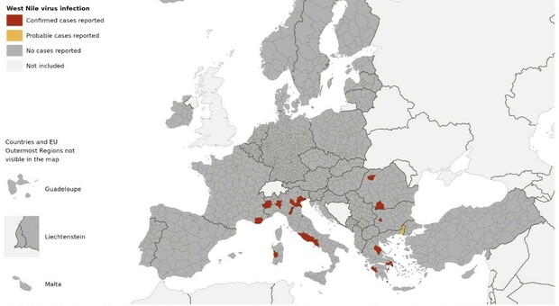 https://statics.cedscdn.it/photos/MED/2025/08/01/8990646_01142013_west_nile_mappa_contagi_italia_europa_classifica_tasso_letalita_ultime_notizie.jpg