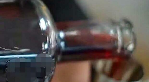 L?Ue riconosce il marchio Ig alla Ratafia, il liquore dalla tradizione Ciociara