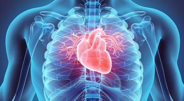 https://statics.cedscdn.it/photos/MED/2025/08/06/8997904_06061005_infarto_mattina_.jpg