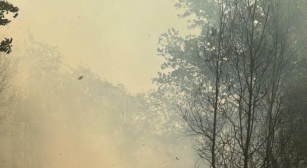 Rogo boschivo ad Ausonia: abitazioni lambite dal fuoco