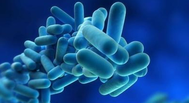 Legionella: Guida Completa per Prevenire e Proteggersi dalla Malattia del Legionario