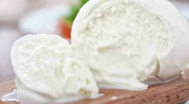 Lucia Valentino muore soffocata da un boccone di mozzarella: «Voleva assaggiarla, stava preparando la cena»