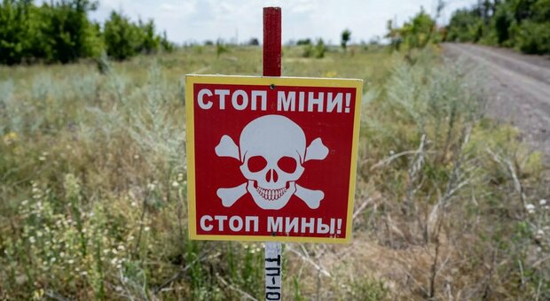 https://statics.cedscdn.it/photos/MED/2025/08/26/9031818_26141537_gunsf02xiaa_a8w.jpg