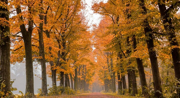 https://statics.cedscdn.it/photos/MED/2025/09/18/9075367_18143629_william_olivieri_ubwmfhrkc8g_unsplash_1_.jpg