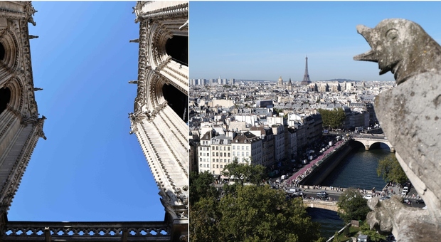https://statics.cedscdn.it/photos/MED/2025/09/19/9077544_19145933_notre_dame.jpg