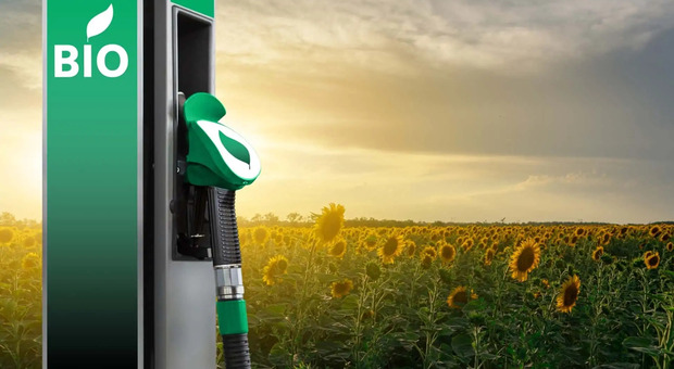 https://statics.cedscdn.it/photos/MED/2025/10/09/9116912_09150057_biocarburanti_biofuel.jpg