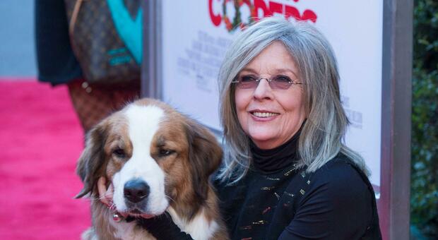 https://statics.cedscdn.it/photos/MED/2025/10/12/9122748_12170440_diane_keaton_solitudine.jpg