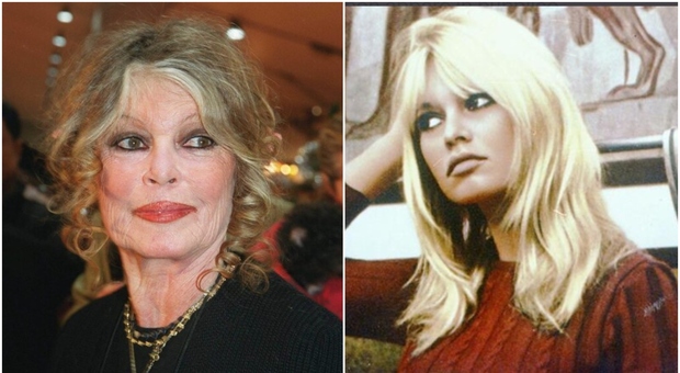 https://statics.cedscdn.it/photos/MED/2025/10/16/9131471_16211140_brigitte_bardot.jpg