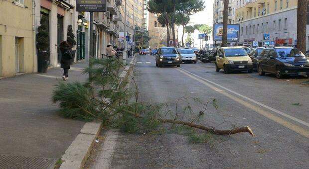 https://statics.cedscdn.it/photos/MED/2025/10/23/9144803_23125001_vento_roma.jpg