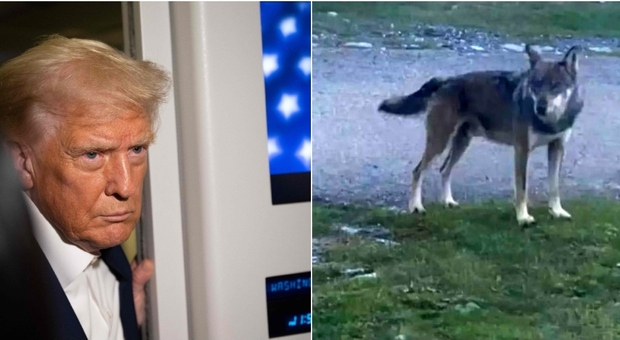 https://statics.cedscdn.it/photos/MED/2025/10/25/9149180_25194820_trump.jpg