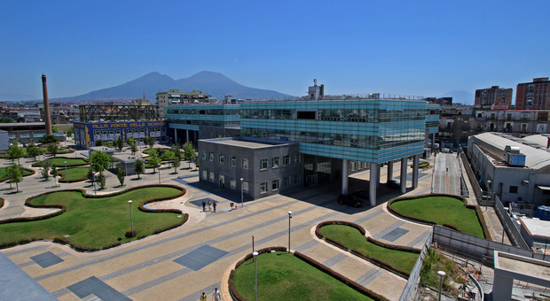 Cronaca Campania