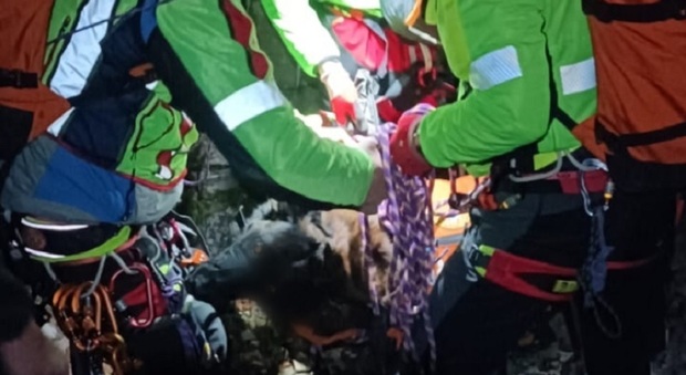 Argo vede dei camosci e parte all'inseguimento: cane e padrone scivolano per una decina di metri nel canale. L'animale ferito viene recuperato con lo zaino