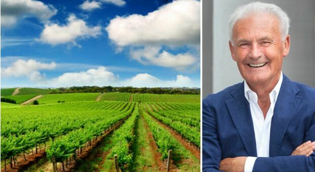 Prosecco Doc, via libera per 6mila ettari in più. Guidolin: «Annata positiva, così facciamo fronte al mercato»
