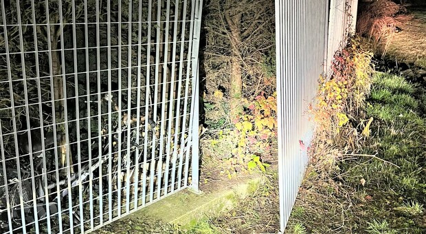 Ladri di vestiti, da San Martino a Zoppola in bicicletta per rubare i capi nell'ecopiazzola: arrestati Ladri di vestiti, da San Martino a Zoppola in bicicletta per rubare i capi nell'ecopiazzola: arrestati