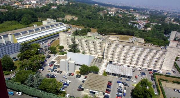 Cronaca Campania