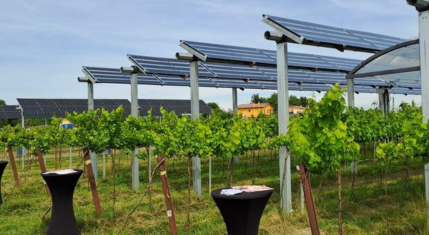 Agrivoltaico, Iren firma con Gse: energia solare per 30mila famiglie