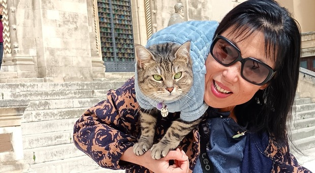 Gigia e Jasmine, la coppia alla scoperta dell'Italia cat-friendly diventa star del web: «Insieme abbiamo provato anche i ristoranti Michelin»