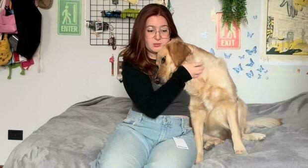 Peep, il cane dell'influencer Giada Smania è morto. In 24 ore raccolti 15mila euro per curarlo dalla leucemia: «Li dono per salvare altri animali»