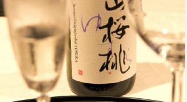 Sakè fermentato con il Prosecco: il progetto da Feltre al Giappone
