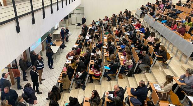 Esclusa dal concorso per il contesto familiare "criminale", Tar la riammette: «Giudizio discriminatorio» Esclusa dal concorso per il contesto familiare "criminale", Tar la riammette: «Giudizio discriminatorio»